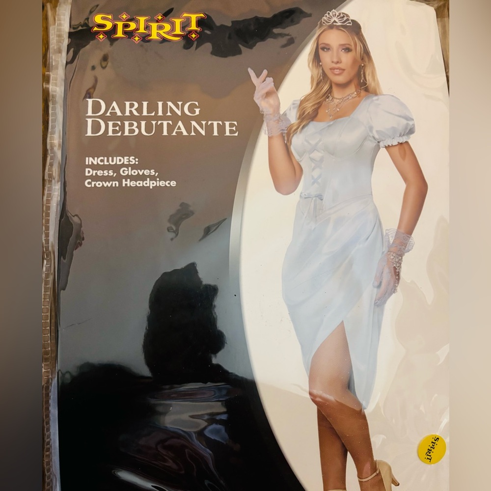 Spirit Halloween blue Debutante Dress perfect for Cinderella adult costume